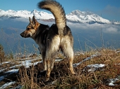 Salita autunnale da Barzizza di Gandino alla Conca del Farno, con giro ad anello al Pizzo Formico e al Rifugio Parafulmen il 27 ottobre 2010